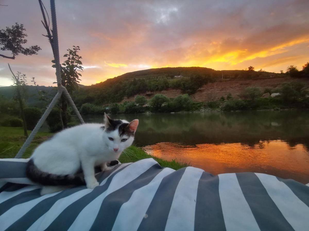 Bed and Breakfast Prenociste Na Drini Foca Exterior foto